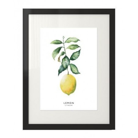 A modern poster depicting a lemon with a green branch
