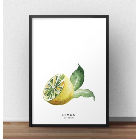 A poster with half a lemon that looks like it was hand-painted with watercolor paints