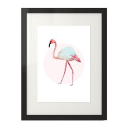 Plakat z białym flamingiem