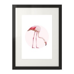 Plakat z pochylonym flamingiem