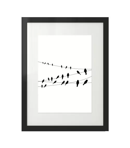 Czarno-biały plakat "Cable Birds"