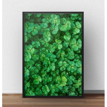 A beautiful poster showing a green clover bathed in morning dew