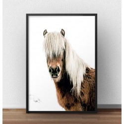 Plakat na ścianę z koniem "Horse"