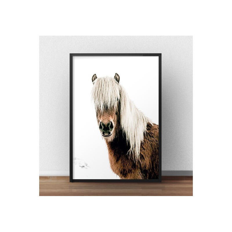 Plakat na ścianę z koniem Horse