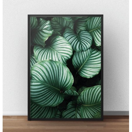 Skandynawski plakat fotograficzny z dużymi zielonymi liśćmi