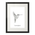 Plakat z kolibrem Hummingbird 2