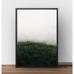 Plakat przedstawiający zieloną koronę drzew zatopioną w mlecznej mgle 