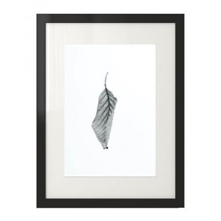 A modern dry leaf wall poster presented in a passepartout frame