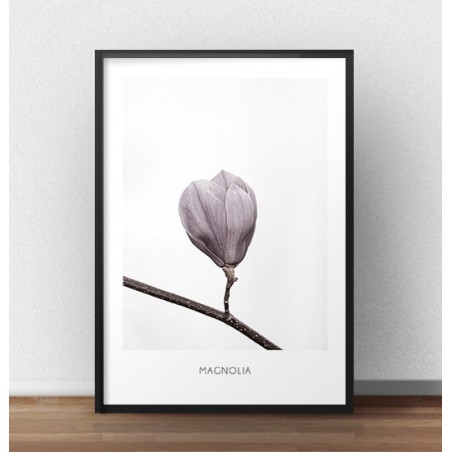 Elegancki plakat przedstawiający fioletowy pąk magnolii