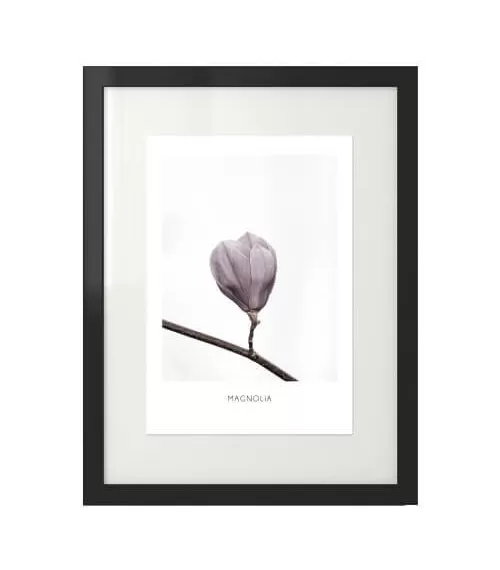 Plakat z pąkiem magnolii