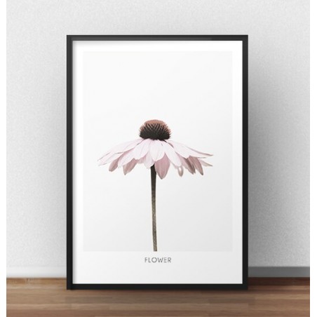 Plakat na ścianę z różowym kwiatkiem "Flower"