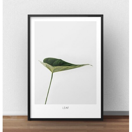 Elegancki plakat z zielonym liściem "Leaf"