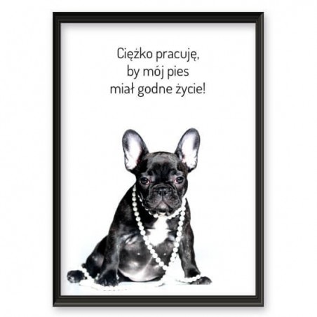 Plakat z napisem "Godne życie psa"