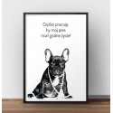 Plakat z napisem Godne życie psa
