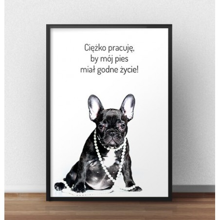 Plakat z napisem "Godne życie psa"