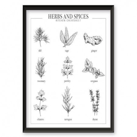A poster to hang in the kitchen depicting spices and herbs in English