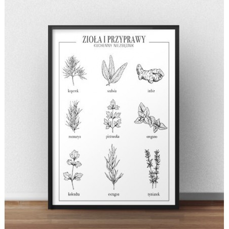 Kitchen poster "Herbs and spices" - poster in Polish