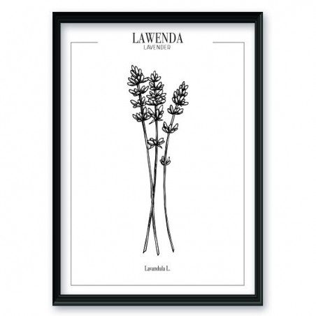 A kitchen poster with lavender branches, part of a set of posters for the kitchen and dining room