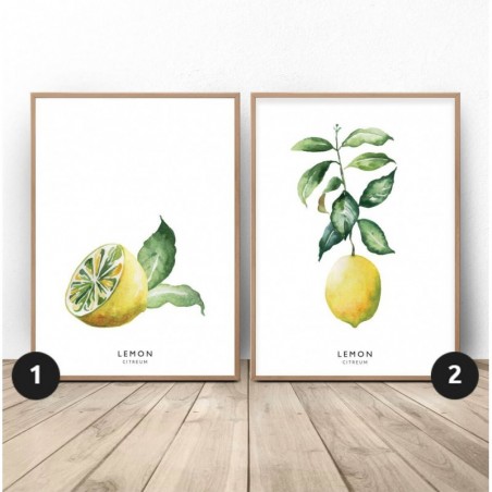 Sada 2 citronových plakátů, ideální do vašeho bytu