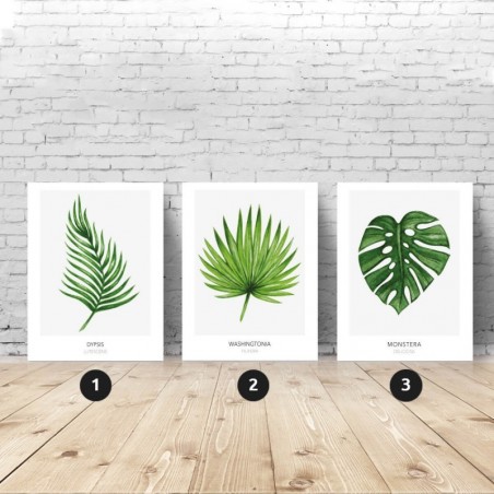 Set of 3 botanical posters - leaves