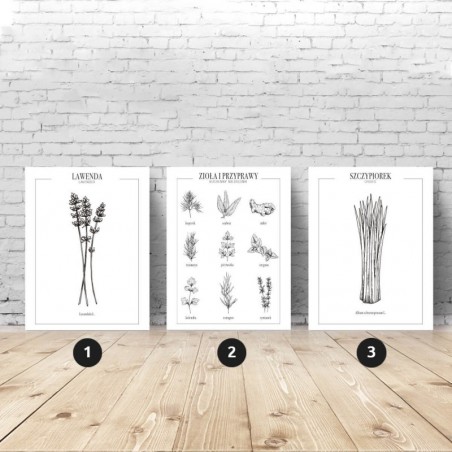 Set of 3 kitchen posters with herbs and spices