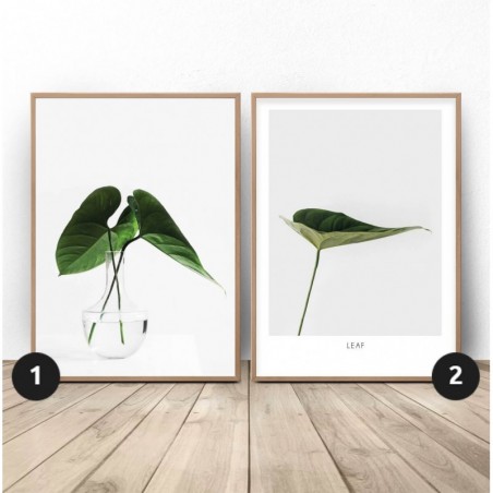 Set of two posters with leaves