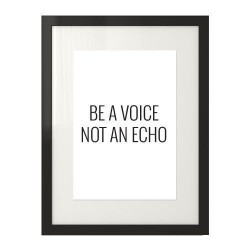 Plakat z napisem "Be a voice, not an echo"