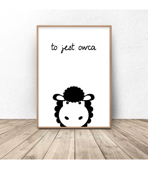 Plakat dla dzieci "To jest owca"