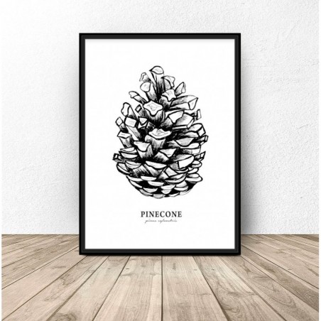 Wall poster with a pine cone "Pinecone"