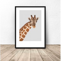 Plakat do pokoju dziecka - Żyrafa