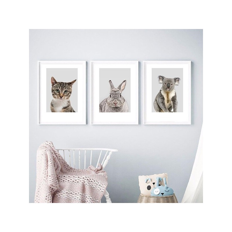 Zestaw 3 plakatów do pokoju dziecka - kotek, koala, królik