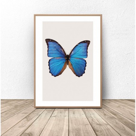Plakat na ścianę "Niebieski motyl"