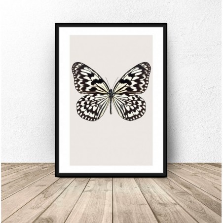 Wall poster "White butterfly"