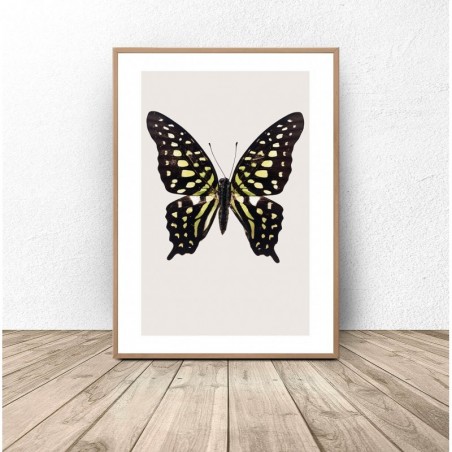 Wall poster "Black and yellow butterfly"