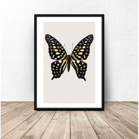 Wall poster "Black and yellow butterfly"