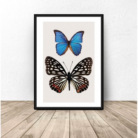 "Two Butterflies" Wall Poster - Graphics from PLN 39! Online Store | Scandi Poster