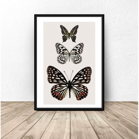 Wall poster with three butterflies