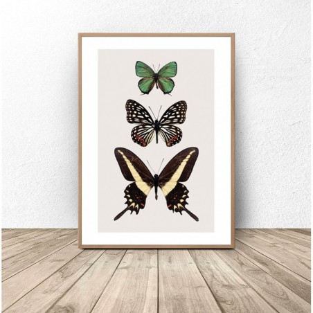 Wall poster with butterflies