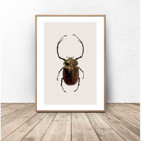Wall poster with a green and gold beetle