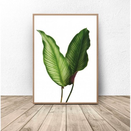 Decorative poster "Two leaves"