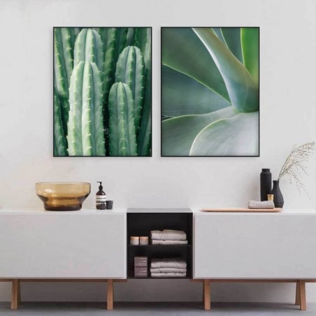 Plakat botaniczny "Zielony kaktus"