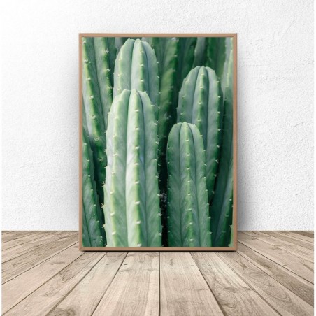 Botanical poster "Green cactus"