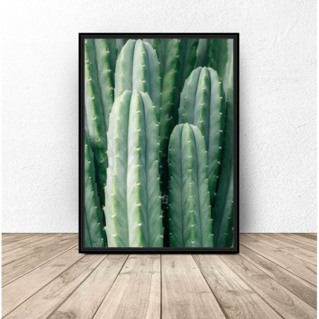 Zestaw dwóch plakatów "Zielone kaktusy"