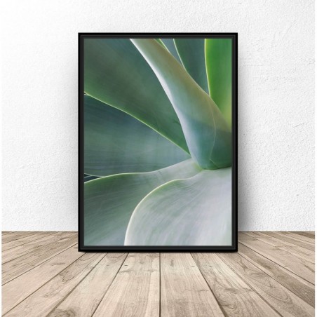 Set of two "Green Cacti" posters