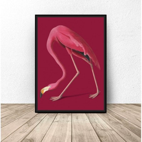 "Pink flamingo" poster