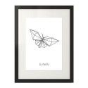 Plakat z motylem Butterfly 2