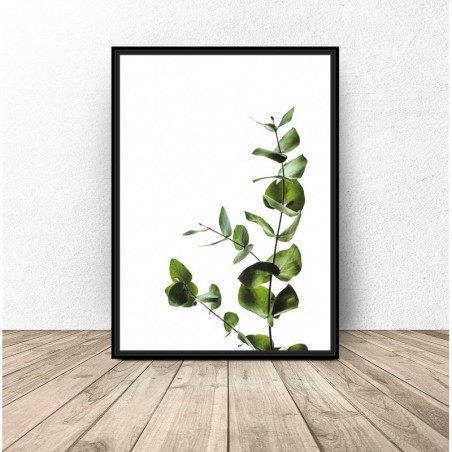 Wall poster with a eucalyptus branch