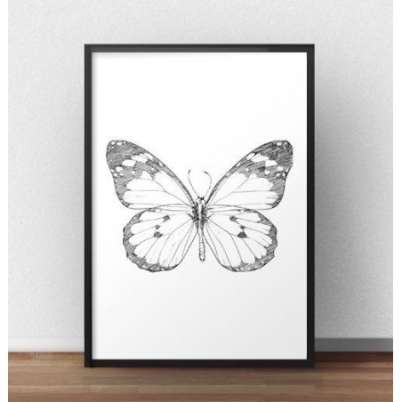 A poster with a butterfly graphic framed in a black frame