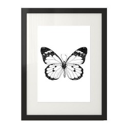 Plakat z motylem "Motyl - szkic" - wyprzedaż