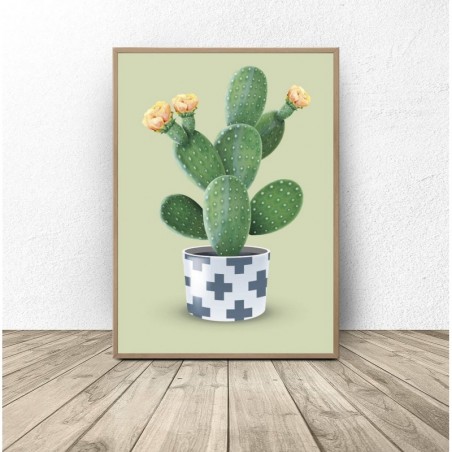 Graphics with a green cactus
